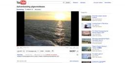 Duivenlossing Pigeonrelease video